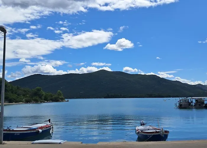 Marine Rhapsody ストン